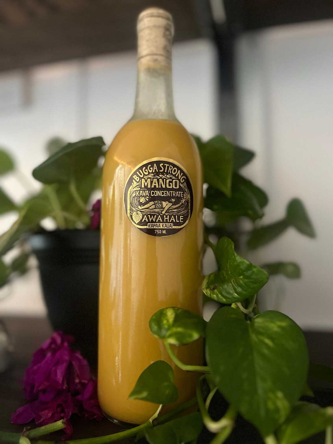Bugga Strong Mango Kava Concentrate