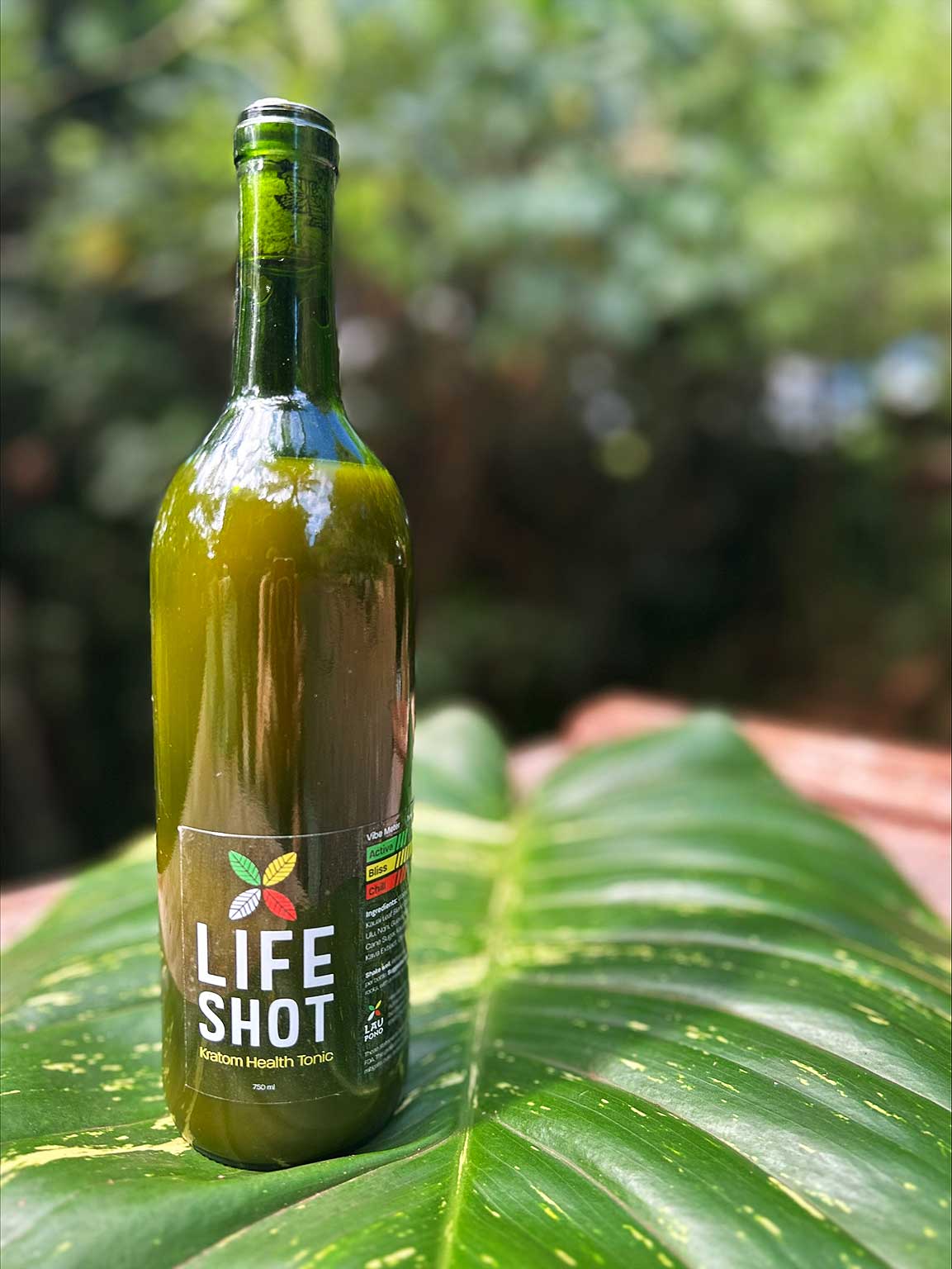 LIFE SHOT Kratom Kava Health Tonic (25 oz)